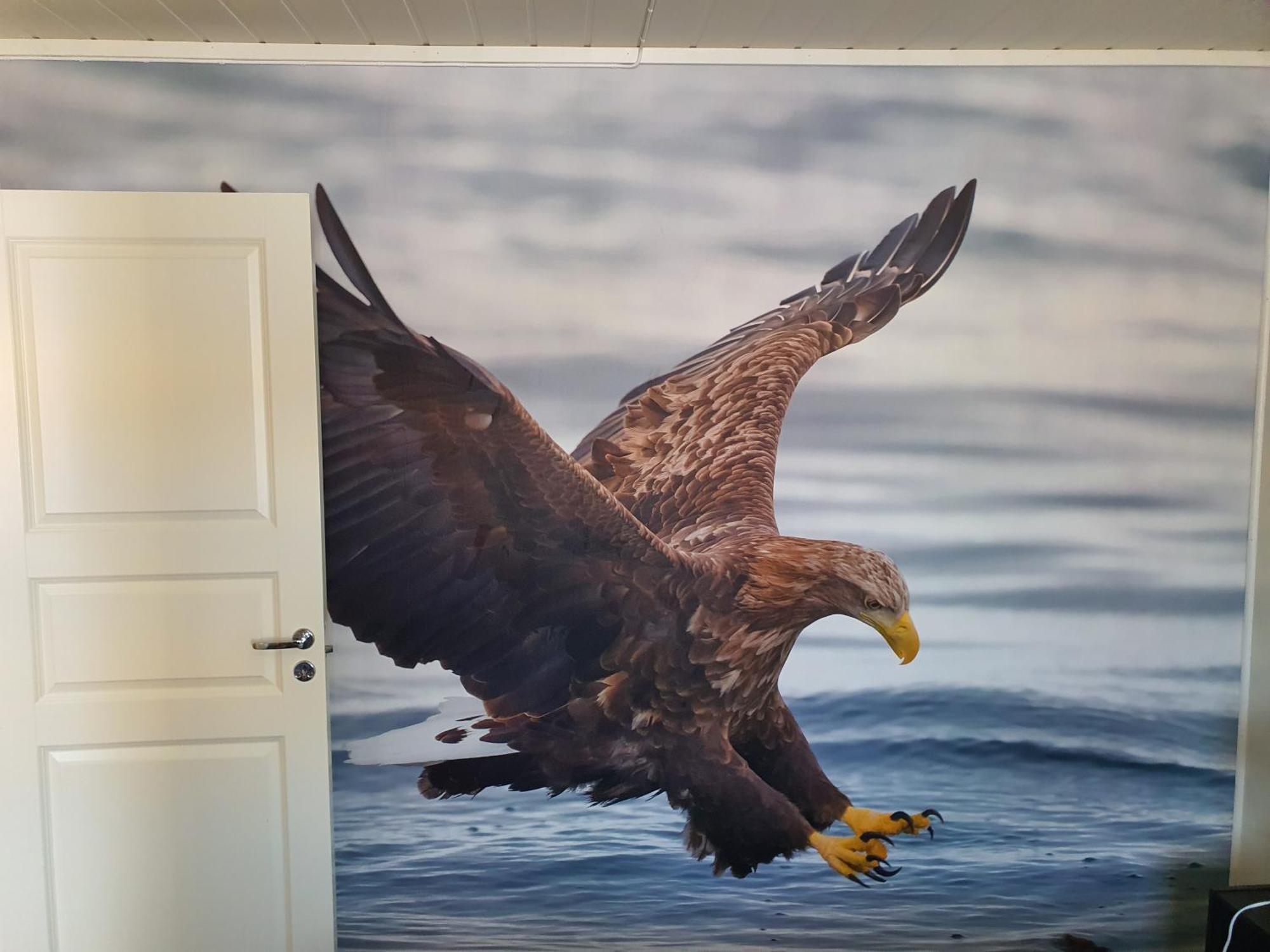 Batsfjord Rorbuer Aparthotel Luaran gambar